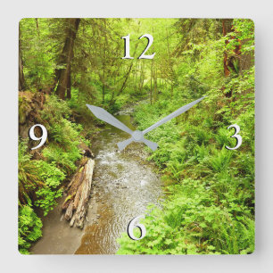 Lost Man Creek II im Redwood National Park Quadratische Wanduhr