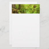 Lost Man Creek II - Redwood Nationalpark Briefpapier (Vorne/Hinten)