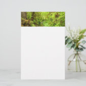 Lost Man Creek II - Redwood Nationalpark Briefpapier (Stehend Vorderseite)