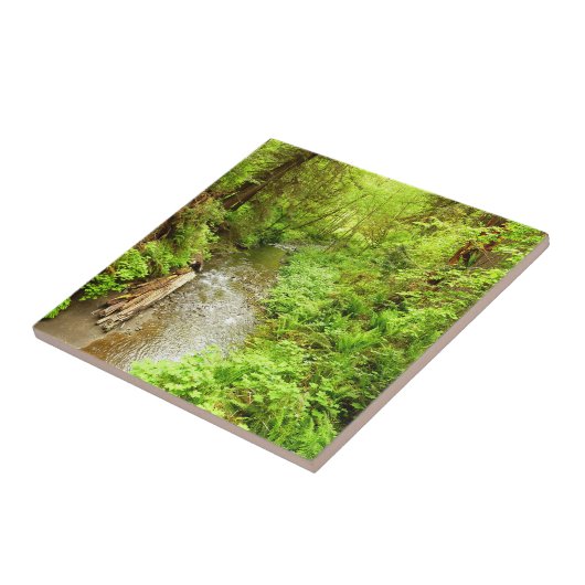 Lost Man Creek II - Redwood Nationalpark Fliese (Seite)