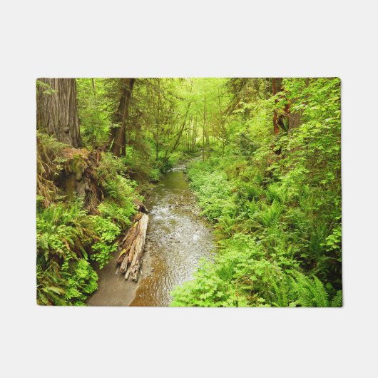 Lost Man Creek II - Redwood Nationalpark Fußmatte (Vorderseite)