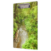 Lost Man Creek II - Redwood Nationalpark Klemmbrett (Links)