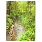 Lost Man Creek II - Redwood Nationalpark Klemmbrett (Rückseite)