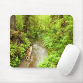 Lost Man Creek II - Redwood Nationalpark Mousepad (Mit Mouse)
