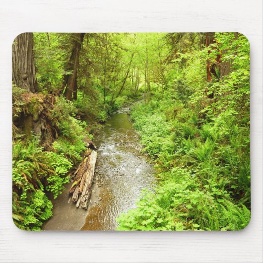 Lost Man Creek II - Redwood Nationalpark Mousepad (Vorne)