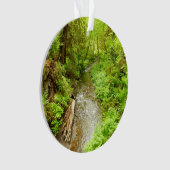 Lost Man Creek II - Redwood Nationalpark Ornament (Vorderseite)