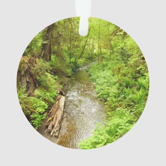 Lost Man Creek II - Redwood Nationalpark Ornament (Rückseite)