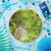 Lost Man Creek II - Redwood Nationalpark Pappteller (Party)