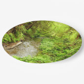 Lost Man Creek II - Redwood Nationalpark Pappteller (Schrägansicht)