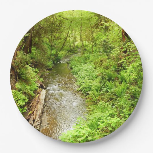 Lost Man Creek II - Redwood Nationalpark Pappteller (Vorderseite)