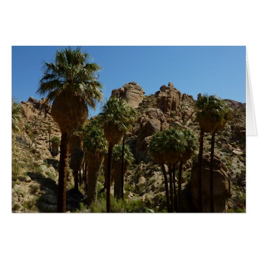 Lost Palms Oasis I at Joshua Tree National Park (Vorderseite (Horizontal))