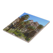 Lost Palms Oasis I at Joshua Tree National Park Fliese (Seite)