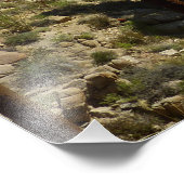 Lost Palms Oasis I at Joshua Tree National Park Fotodruck (Ecke)