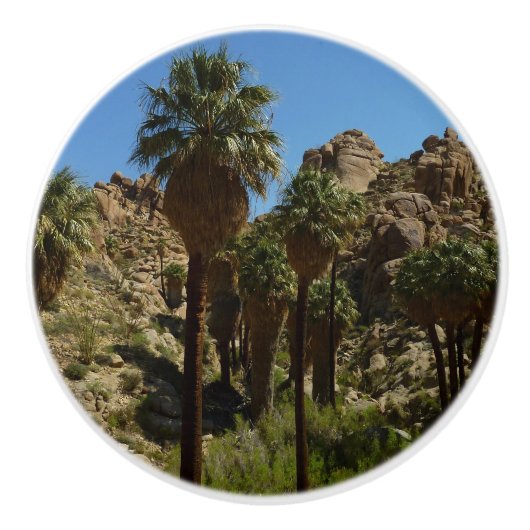Lost Palms Oasis I at Joshua Tree National Park Keramikknauf (Vorderseite)