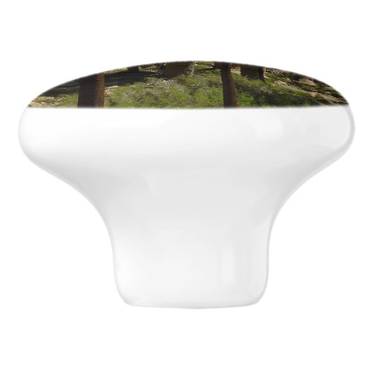 Lost Palms Oasis I at Joshua Tree National Park Keramikknauf (Seitenansicht)