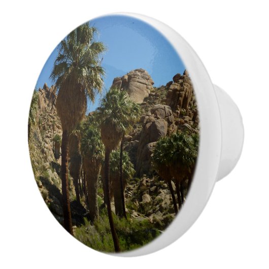 Lost Palms Oasis I at Joshua Tree National Park Keramikknauf (Rechts)