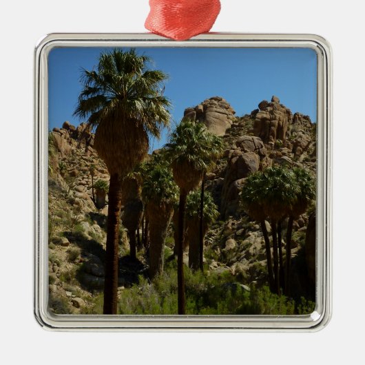 Lost Palms Oasis I at Joshua Tree National Park Ornament Aus Metall (Vorne)