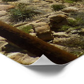 Lost Palms Oasis I at Joshua Tree National Park Poster (Ecke)