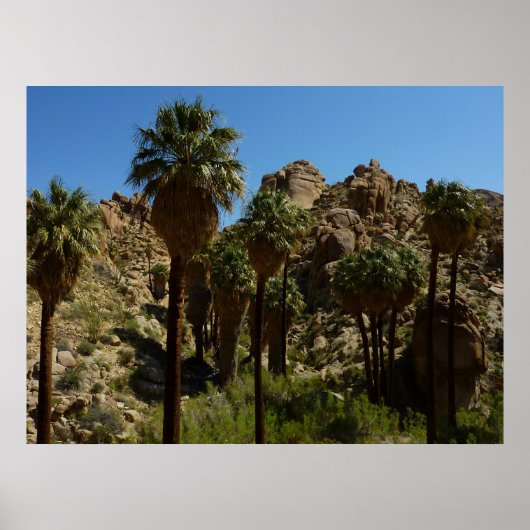 Lost Palms Oasis I at Joshua Tree National Park Poster (Vorne)
