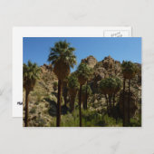 Lost Palms Oasis I at Joshua Tree National Park Postkarte (Vorne/Hinten)