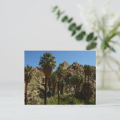 Lost Palms Oasis I at Joshua Tree National Park Postkarte (Stehend Vorderseite)