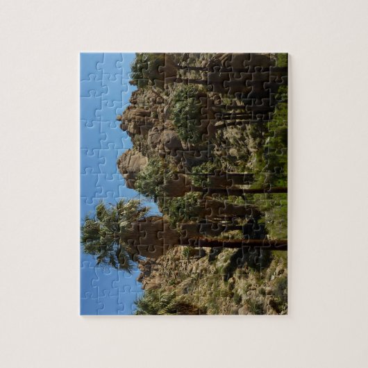 Lost Palms Oasis I at Joshua Tree National Park Puzzle (Vertikal)