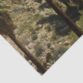 Lost Palms Oasis I at Joshua Tree National Park Seidenpapier (Detail)