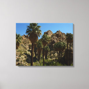 Lost Palms Oasis I im Joshua-Tree-Nationalpark Leinwanddruck