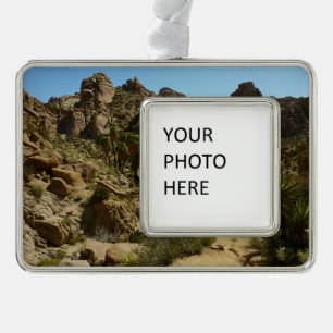 Lost Palms Oasis II im Joshua Tree National Park Rahmen-Ornament Silber