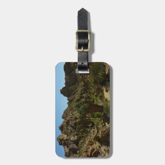 Lost Palms Oasis II im Joshua-Tree-Nationalpark Gepäckanhänger (Vorderseite vertikal)