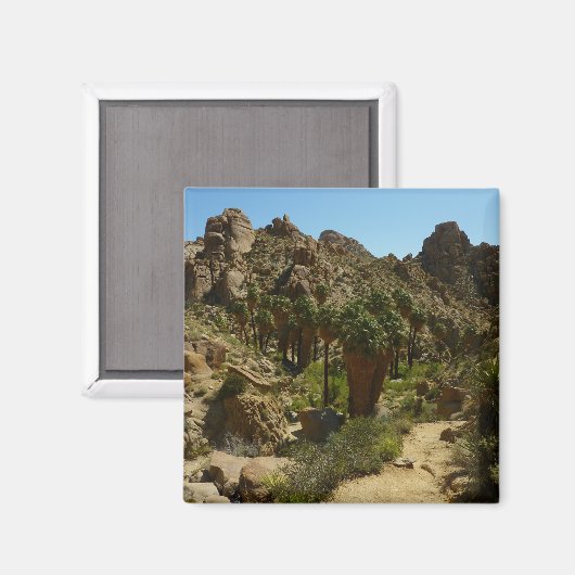 Lost Palms Oasis II im Joshua-Tree-Nationalpark Magnet (Vorderseite/Rückseite)
