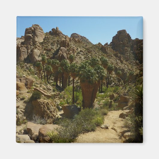 Lost Palms Oasis II im Joshua-Tree-Nationalpark Magnet (Vorne)