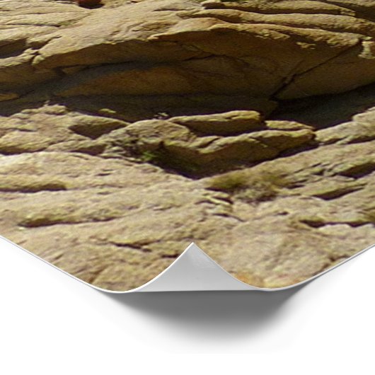 Lost Palms Oasis II im Joshua-Tree-Nationalpark Poster (Ecke)