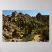 Lost Palms Oasis II im Joshua-Tree-Nationalpark Poster (Vorne)