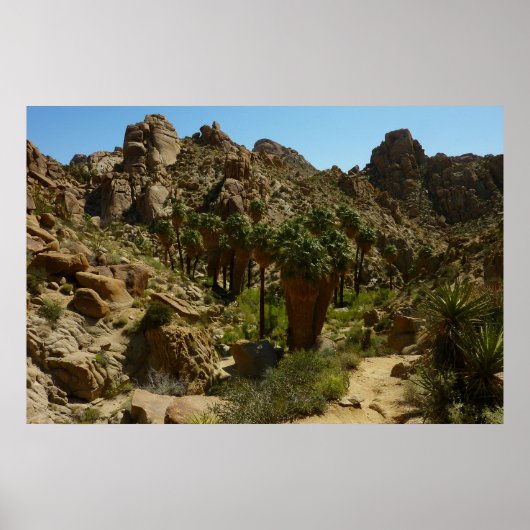 Lost Palms Oasis II im Joshua-Tree-Nationalpark Poster (Vorne)