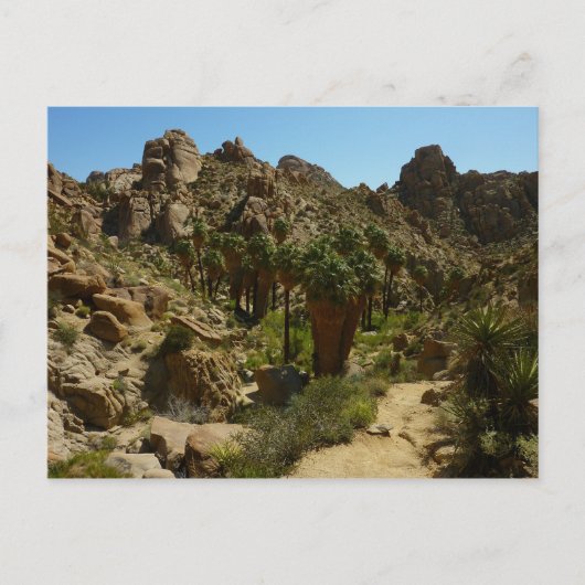 Lost Palms Oasis II im Joshua-Tree-Nationalpark Postkarte (Vorderseite)