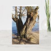 Lost Places , alter Baum am Ufer des Flusses Karte (Vorderseite)