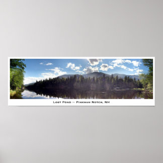 Lost Pond ~ Pinkham Notch, NH Poster