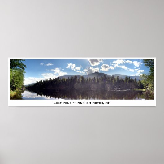 Lost Pond ~ Pinkham Notch, NH Poster (Vorne)