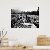 LÖSUNG für GOLD c. 1890 Poster (Küche)