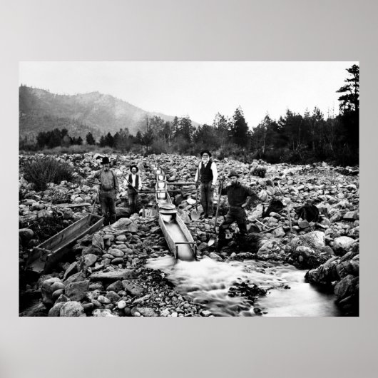 LÖSUNG für GOLD c. 1890 Poster (Vorne)