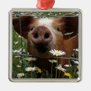 *LÖSUNGS- UND SCHWARZPIGLETTE FÜR CHRISTMAS* ORNAMENT AUS METALL
