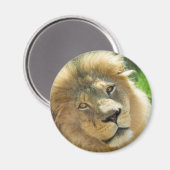 Lötenmagnet Magnet (Vorderseite/Rückseite)