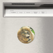 Lötenmagnet Magnet (In Situ (Geschirrspüler))