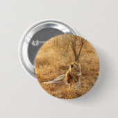 Lötknopf Button (Vorne & Hinten)