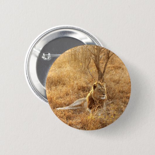 Lötknopf Button (Vorne & Hinten)