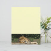 Lötkopfpapier (Stehend Vorderseite)