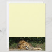 Lötkopfpapier (Vorne/Hinten)