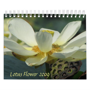 Lotos-Blume 2009 Kalender