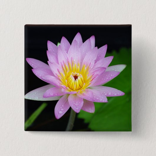 Lotos-Blume Button (Vorderseite)